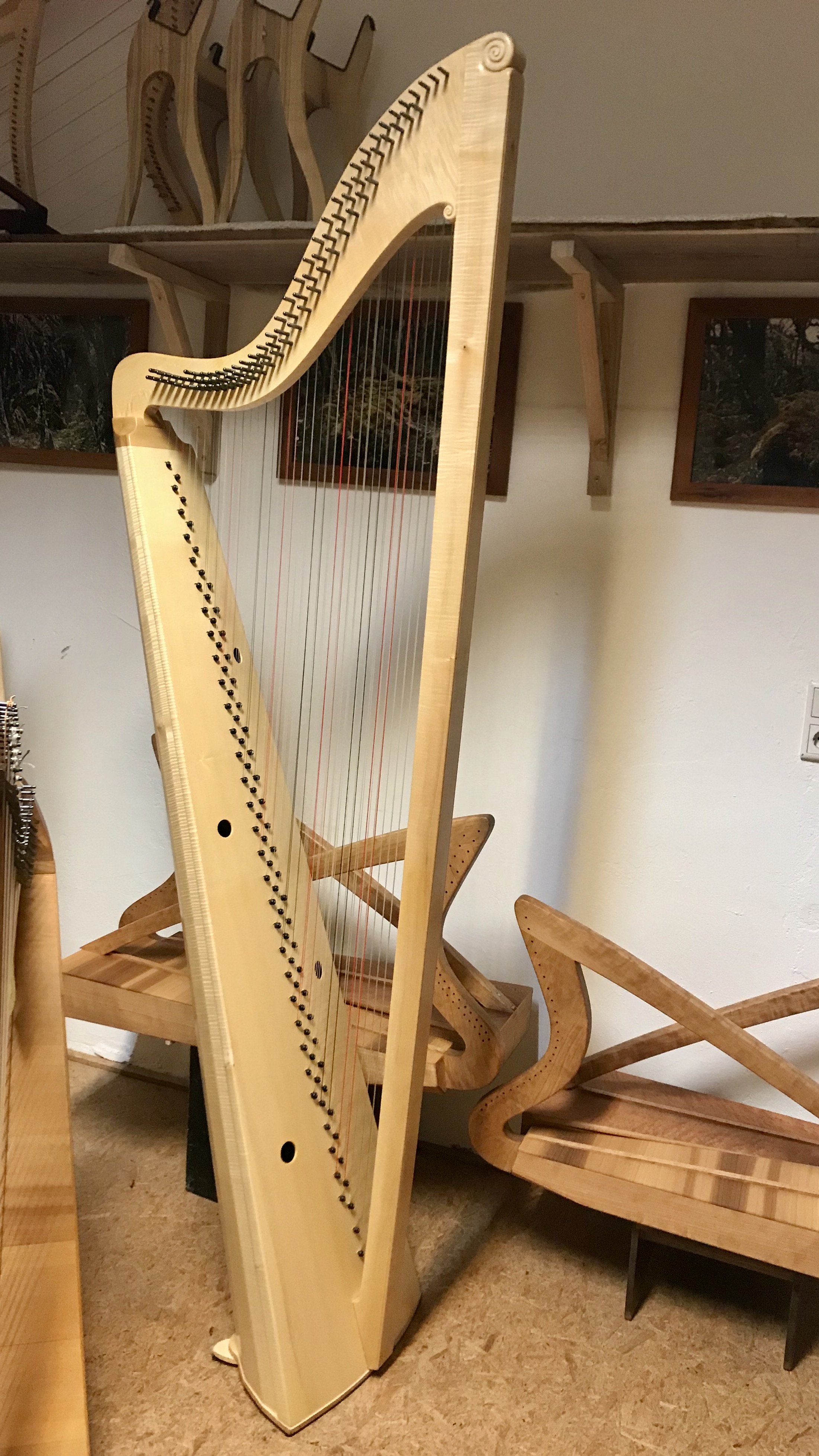 
Triple harpe italienne